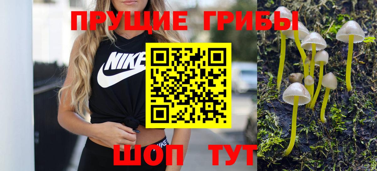 Галлюциногенные грибы MAGIC MUSHROOMS Сальск