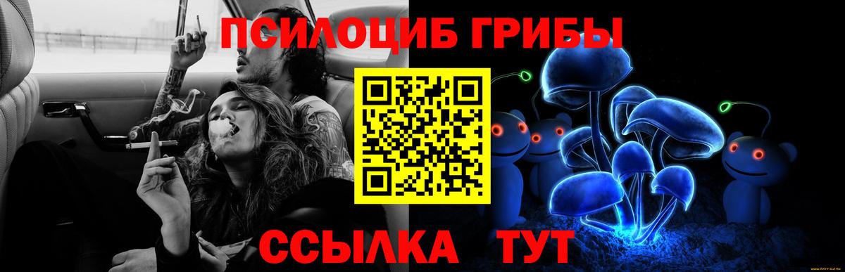 Галлюциногенные грибы GOLDEN TEACHER  Псилоцибиновые грибы мицелий  Сальск  Вход с VPN 